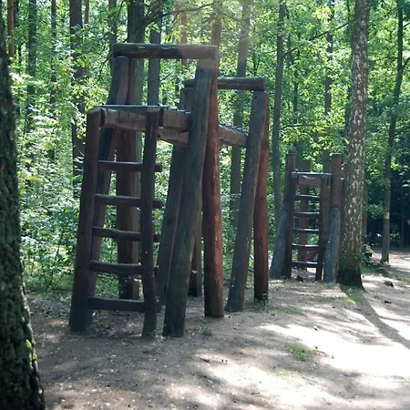 Quiet Separate In On Outskirts Near Forest *