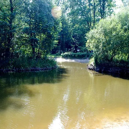 Lejlighed Quiet Separate In On Outskirts Near Forest *