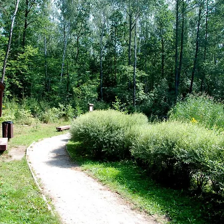 Quiet Separate In On Outskirts Near Forest *